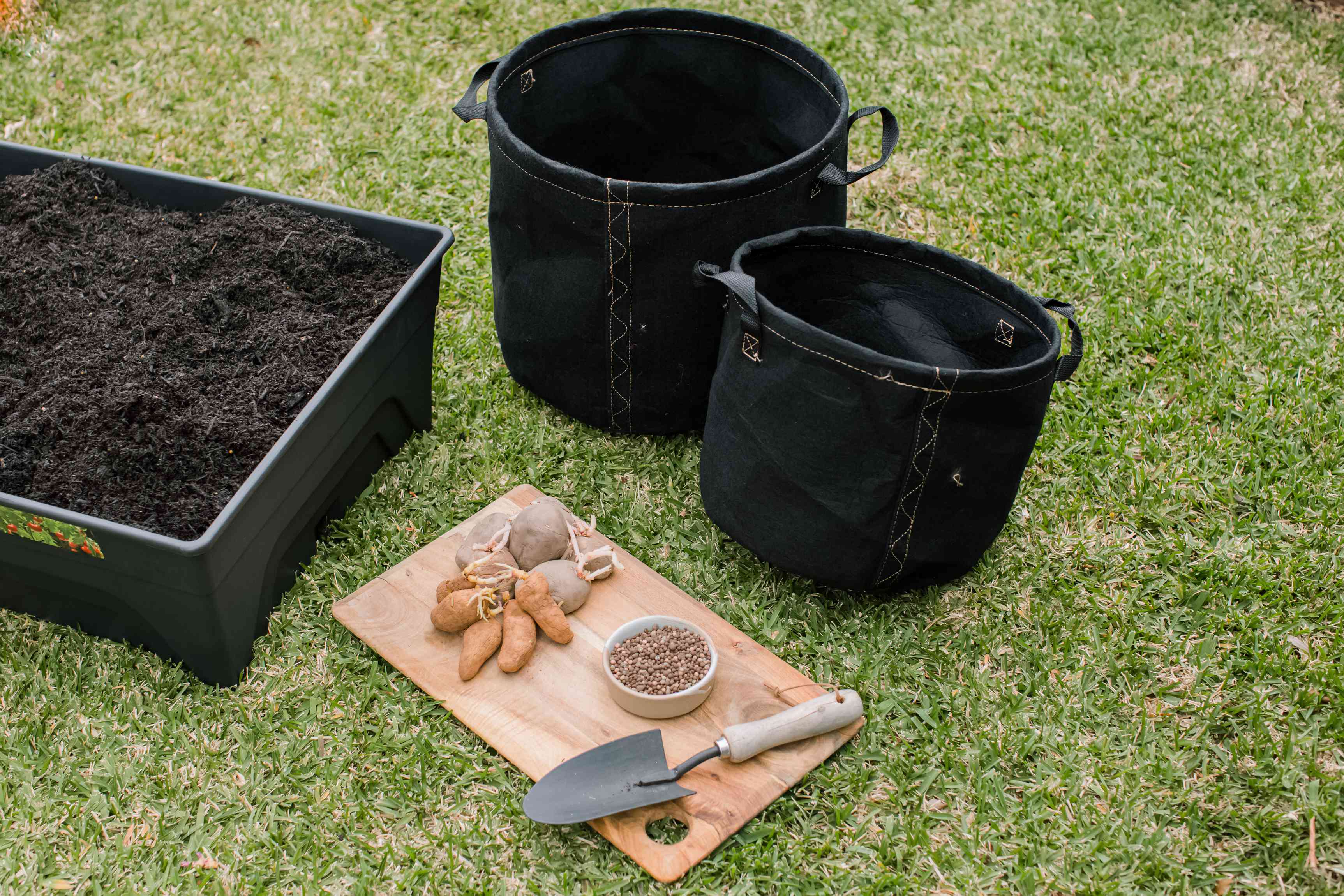 Container Potato Gardening: An Easy Harvest for Kids